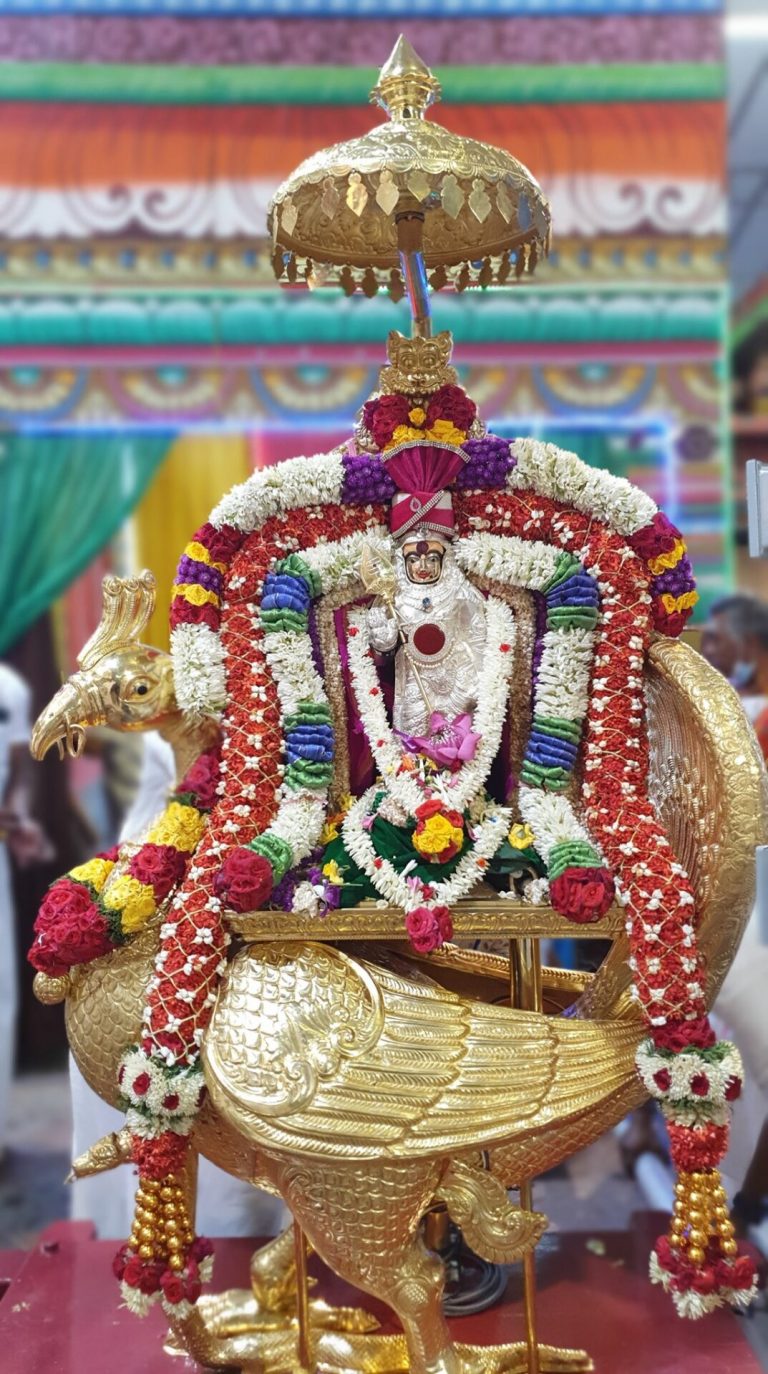 புனித மரம் பாலசுப்பிரமணியர் கோயில் பங்குனி உத்திர விழா