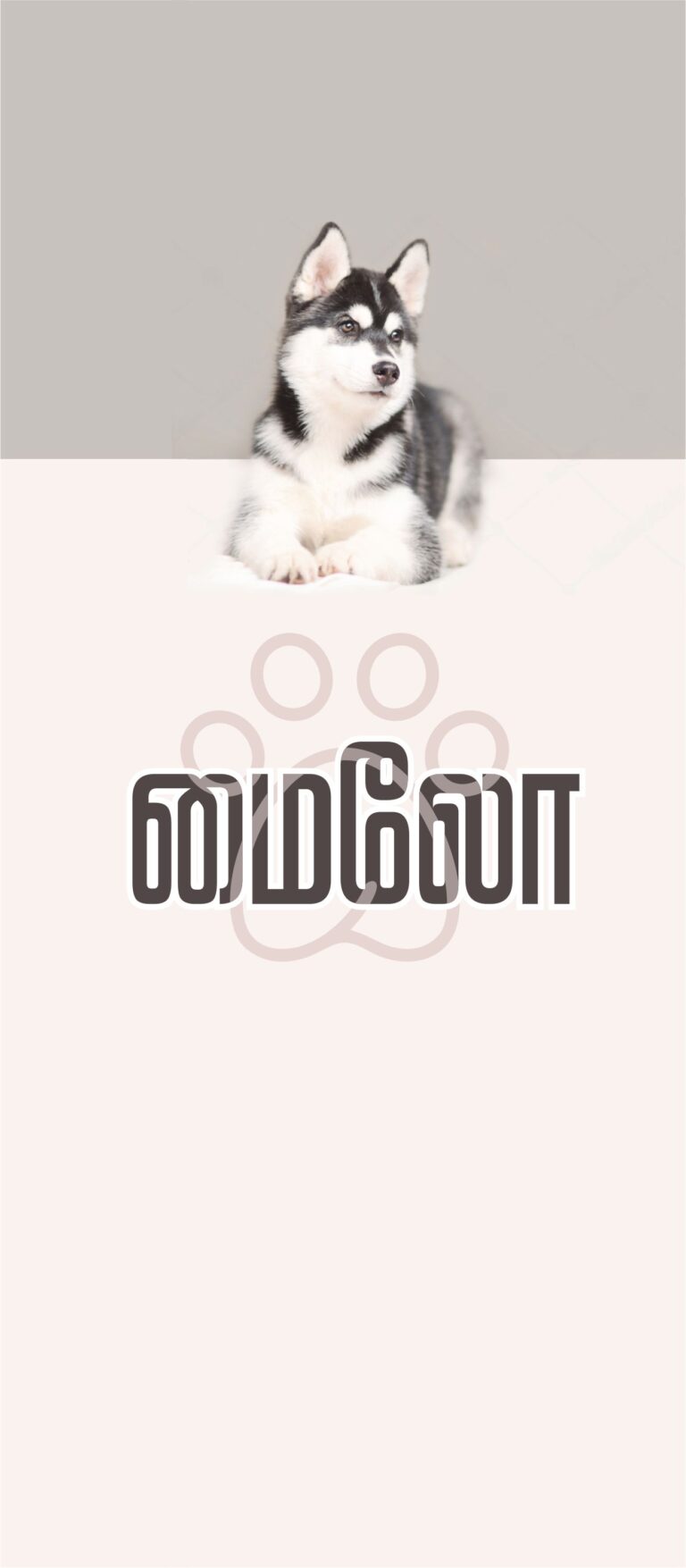 (சிறுகதை) மைலோ
