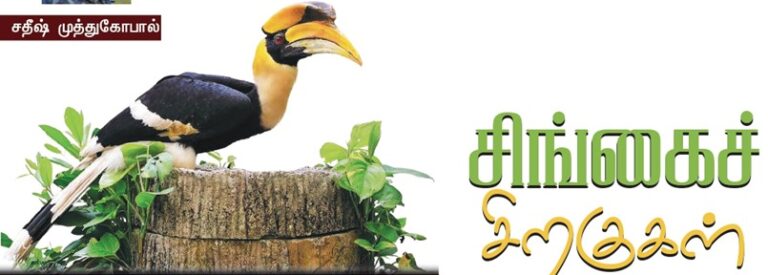 சிங்கைச் சிறகுகள் – சதீஷ் முத்துகோபால்